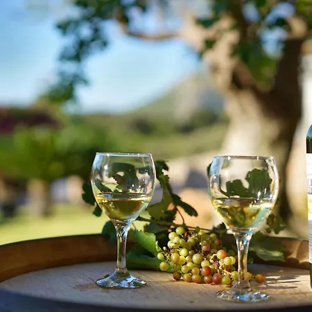 Magnificent Modern With Sauna By Renthousing ヴィラ